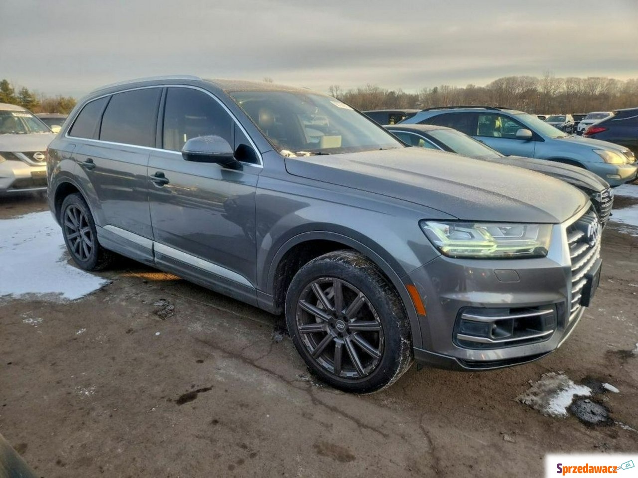 Audi Q7 2017