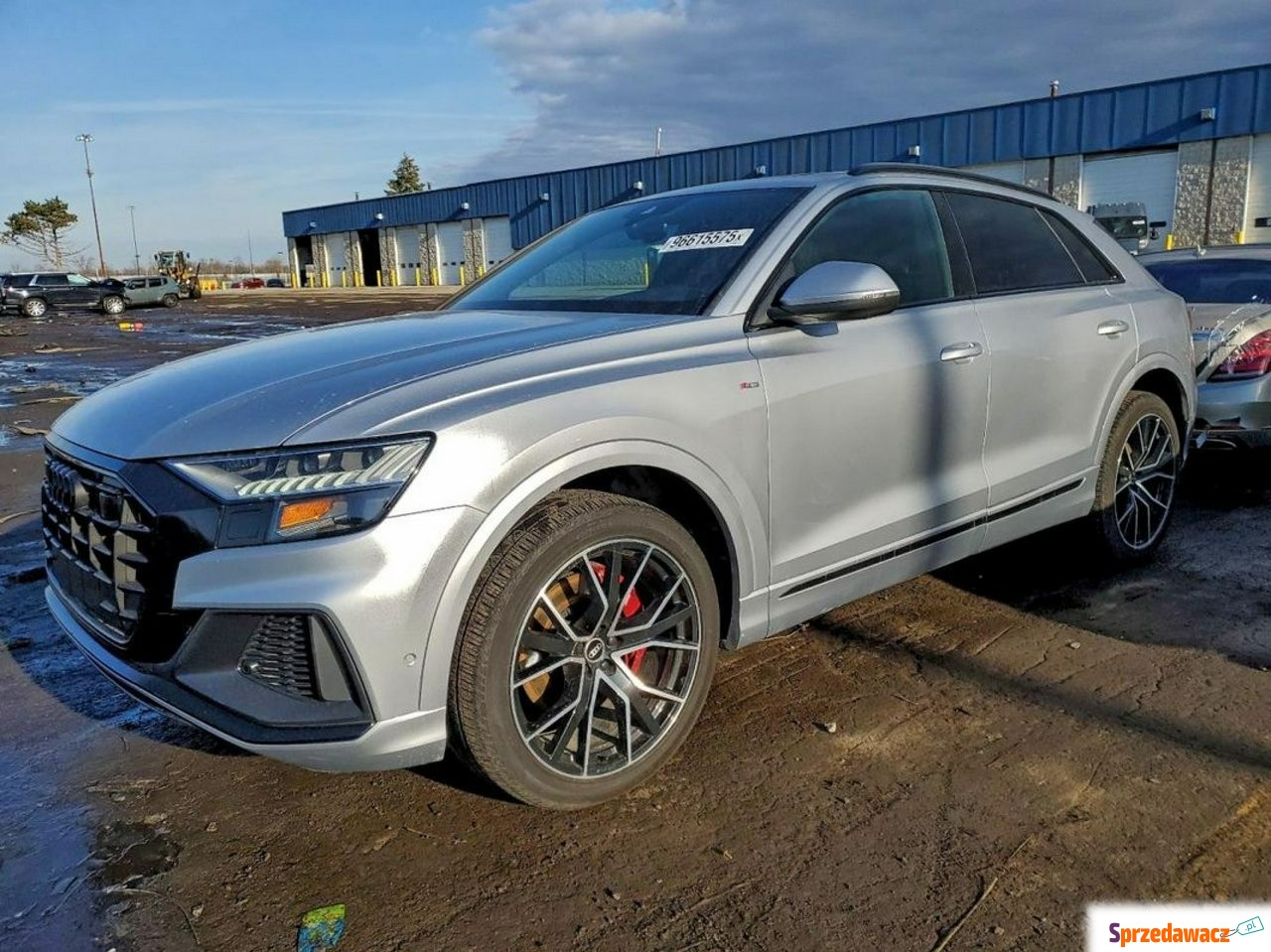 Audi Q8 2021