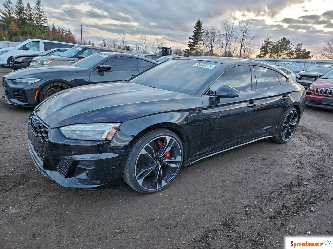Audi S5 2023