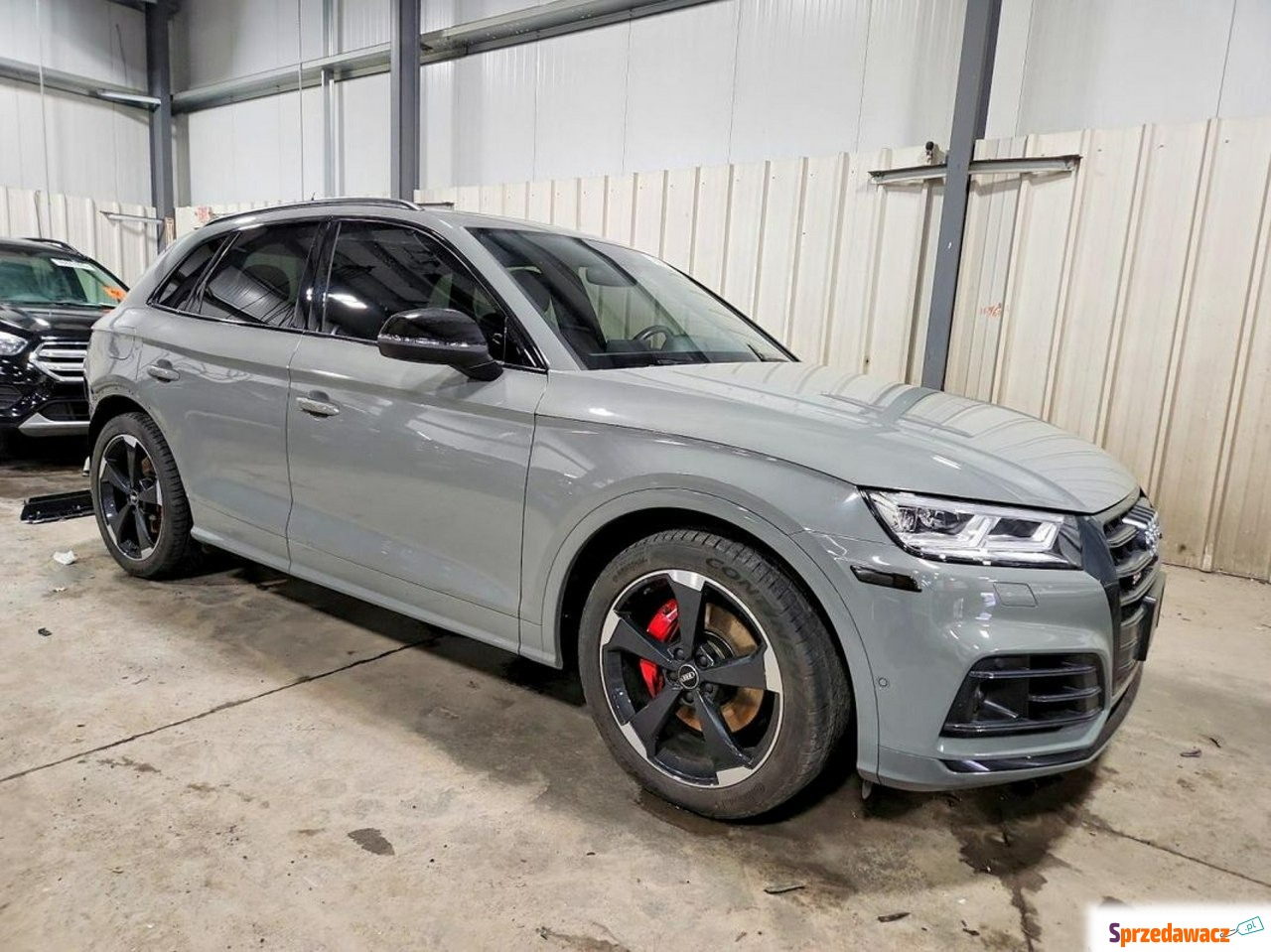 Audi SQ5 2019