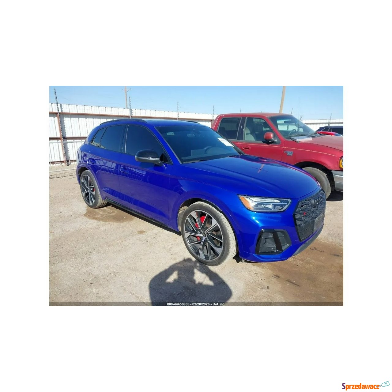 Audi SQ5 2024