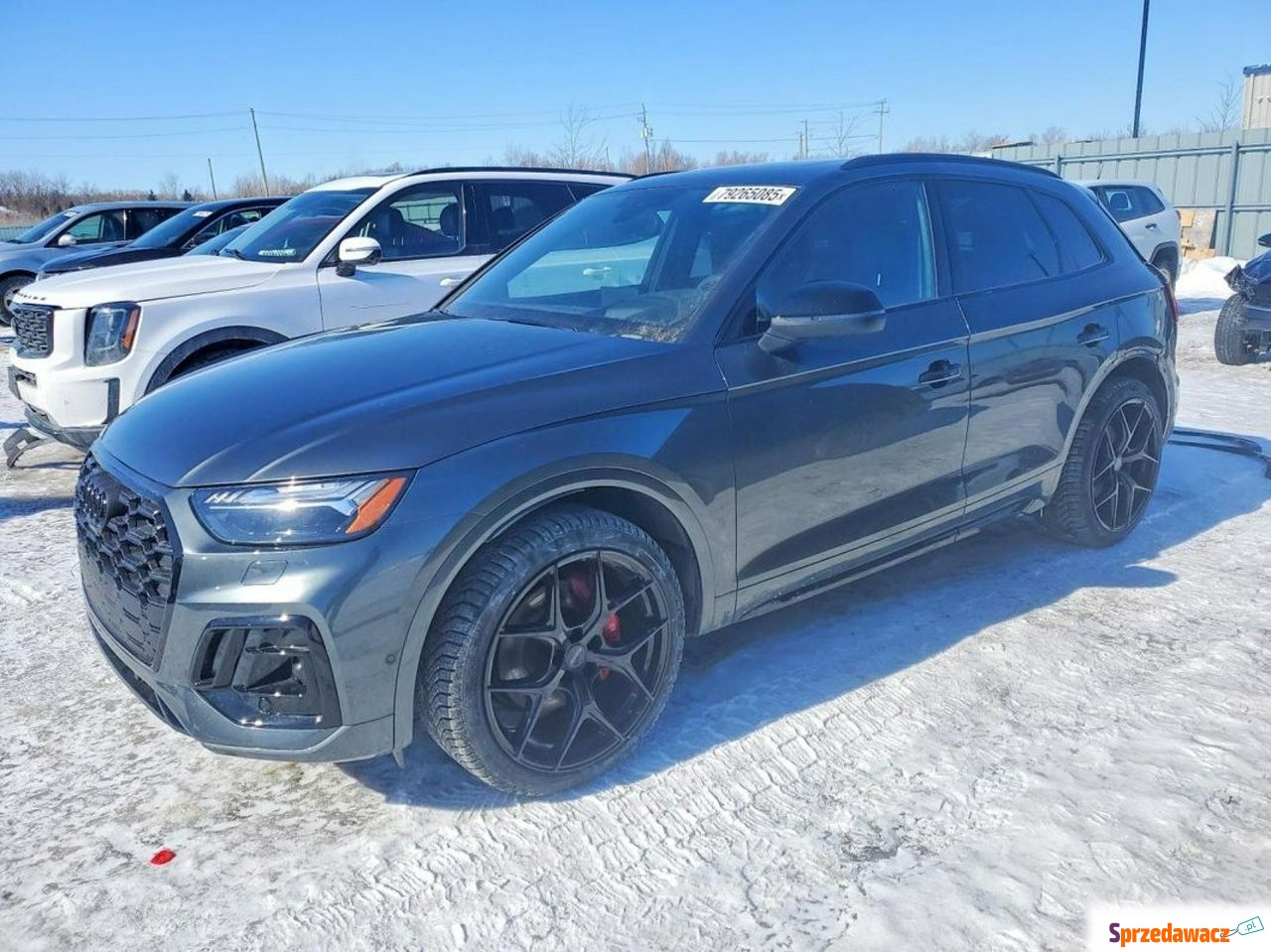 Audi SQ5 2024