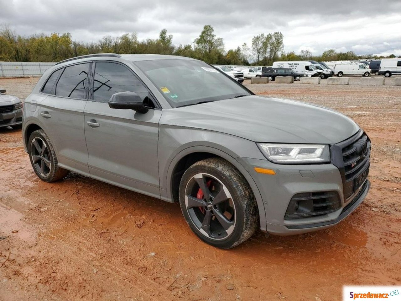 Audi SQ5 2019