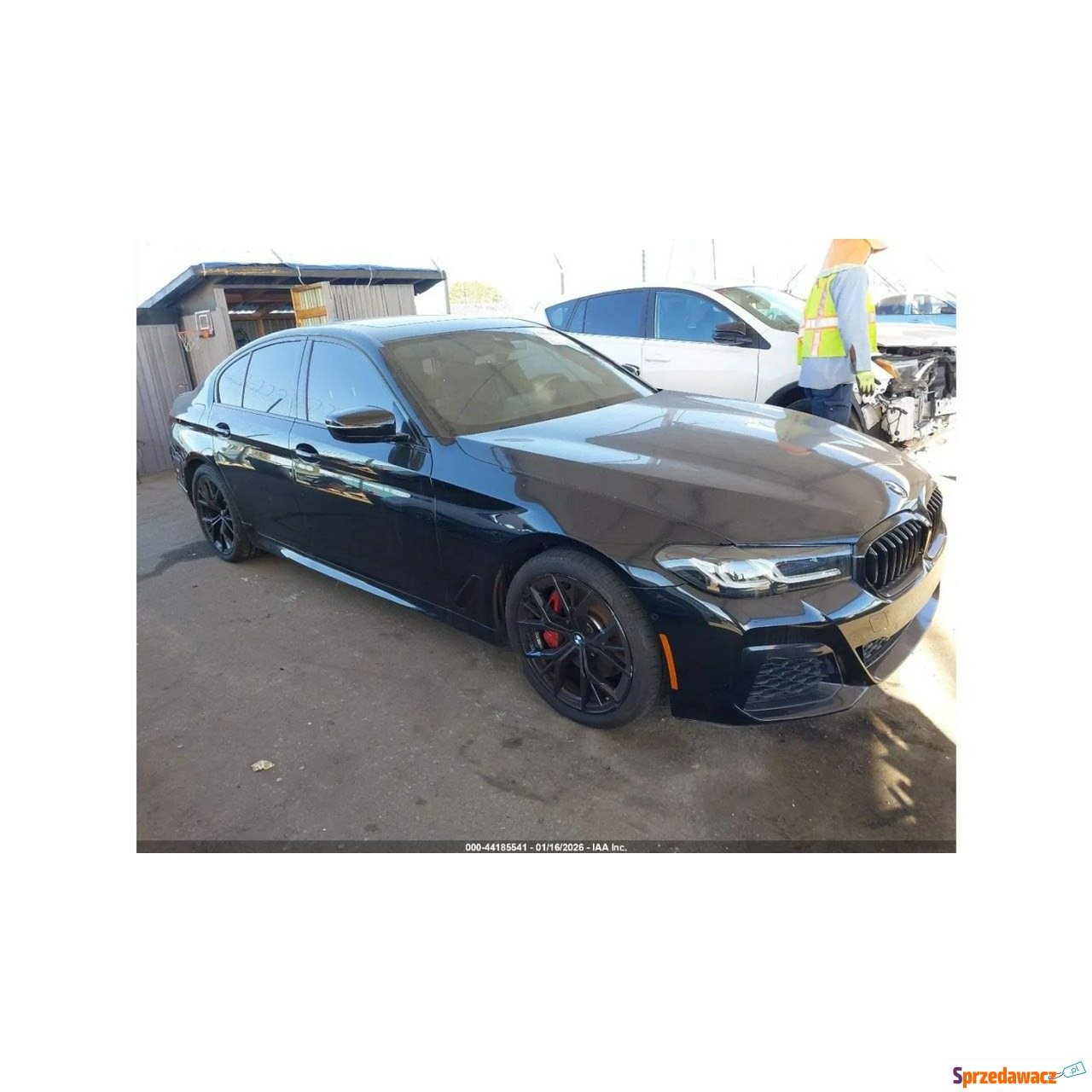 BMW M5 2023