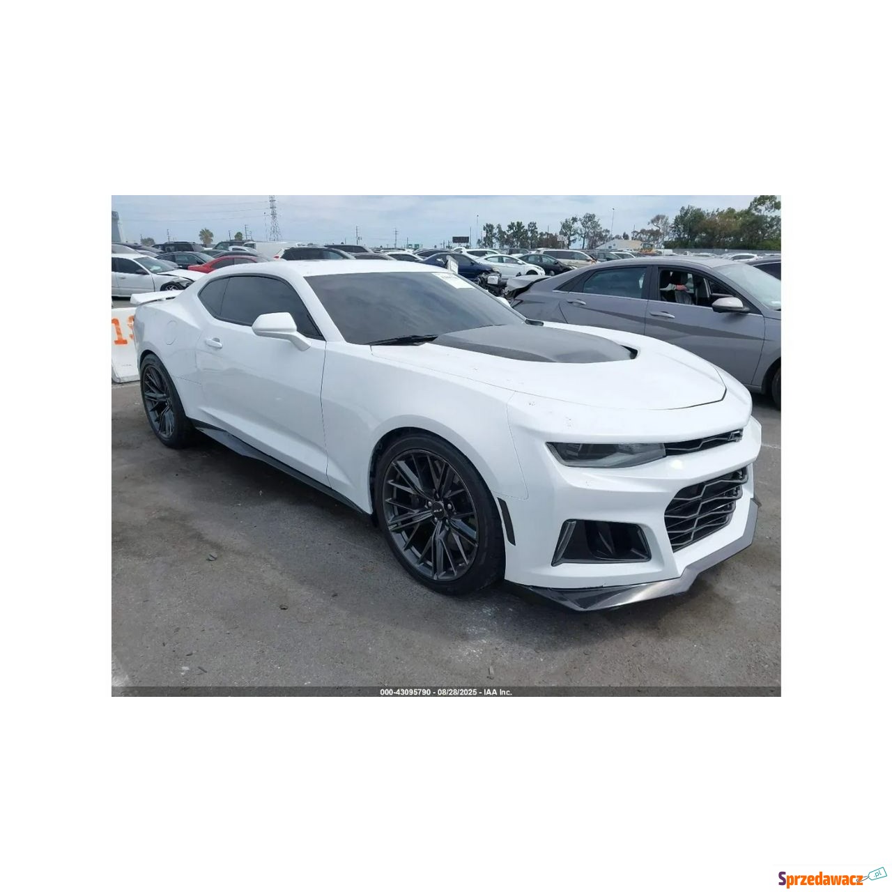 Chevrolet Camaro 2022