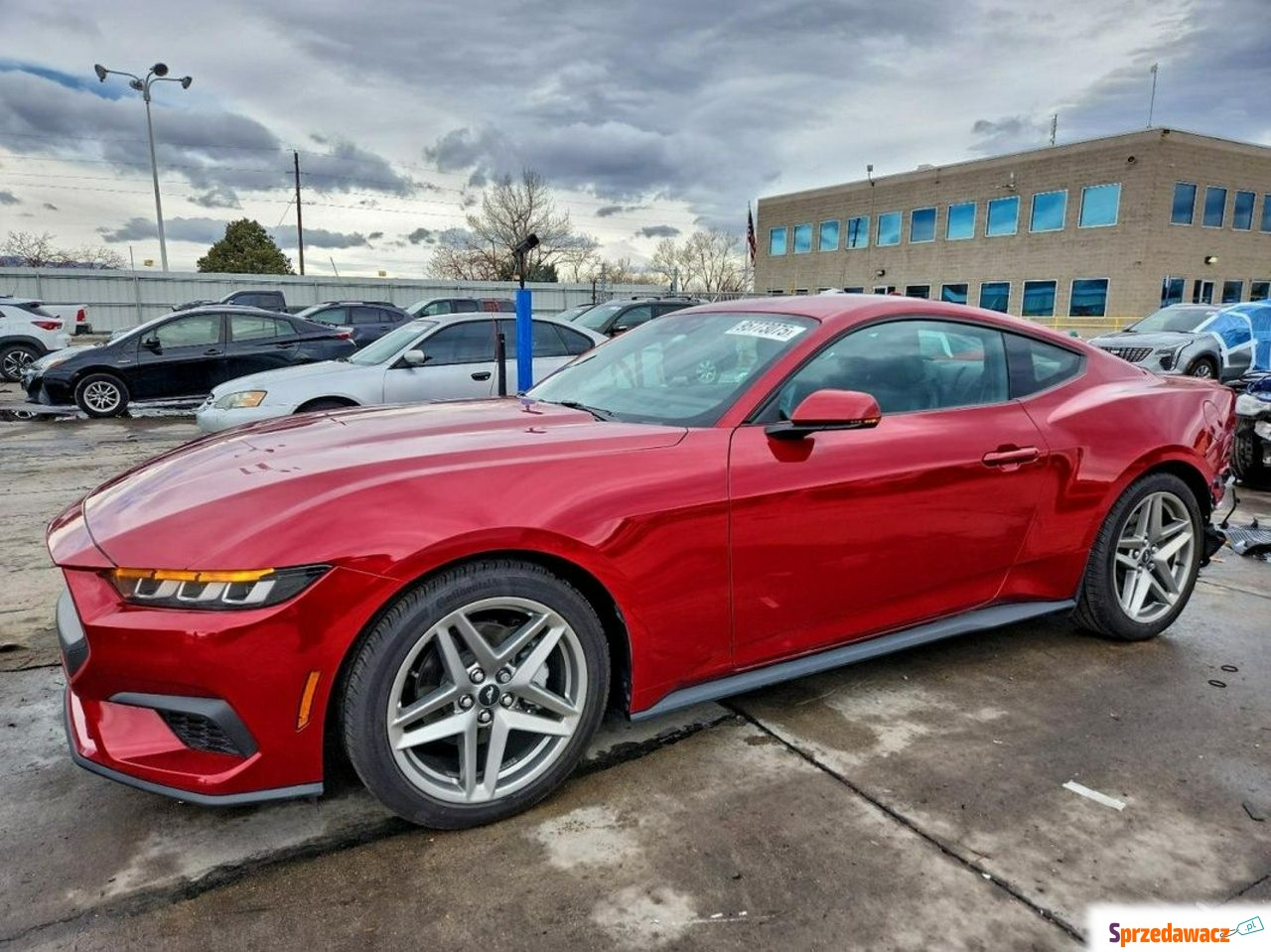 Ford Mustang 2024