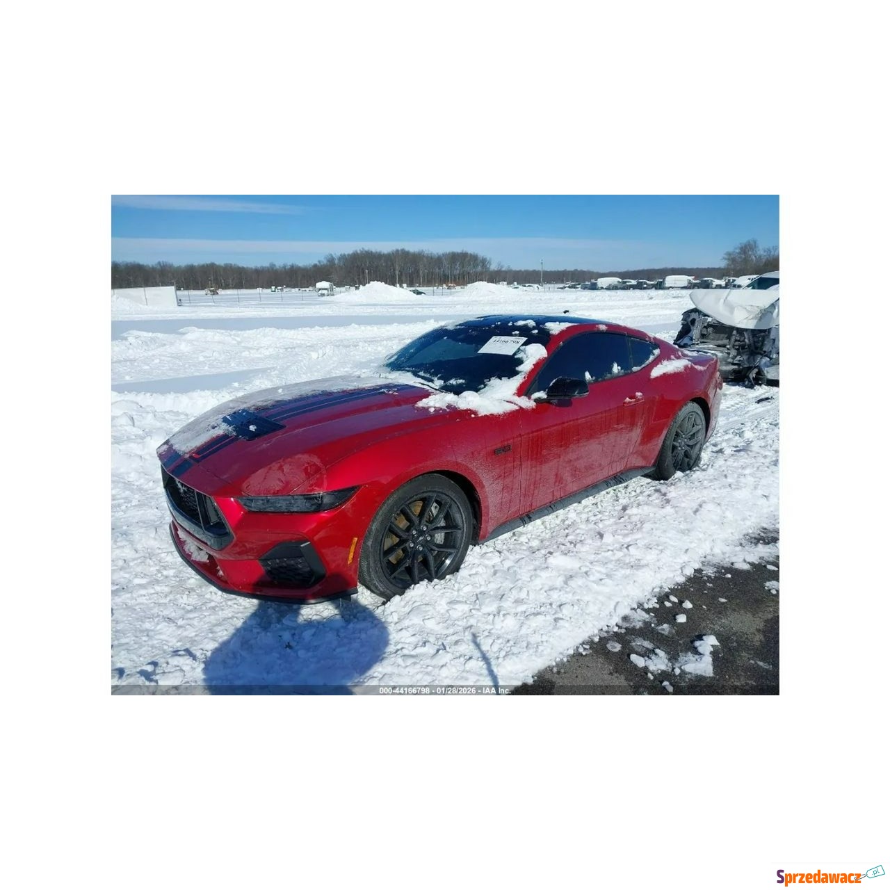 Ford Mustang 2024