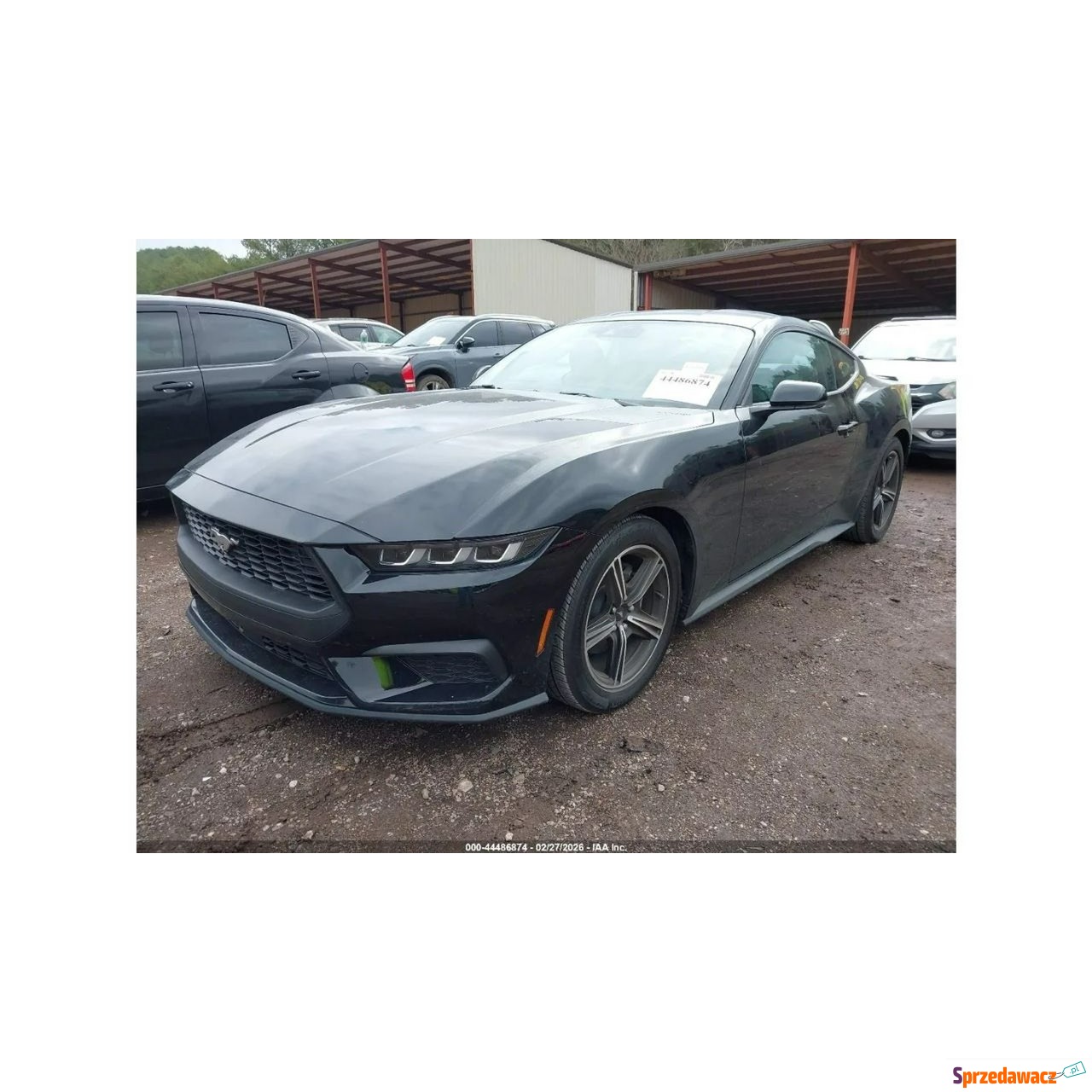 Ford Mustang 2024