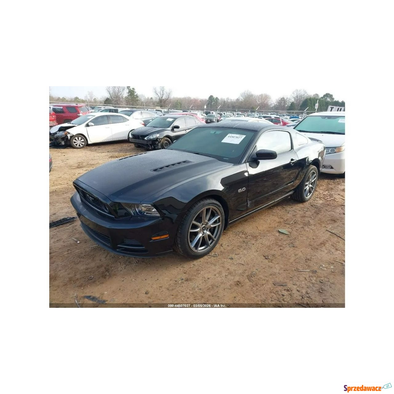 Ford Mustang 2013