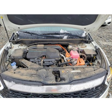 Kia Sportage  SUV 2025,  1.6 hybryda, automat - Na sprzedaż za 54 000 zł - Tarnów - zdjęcie 12