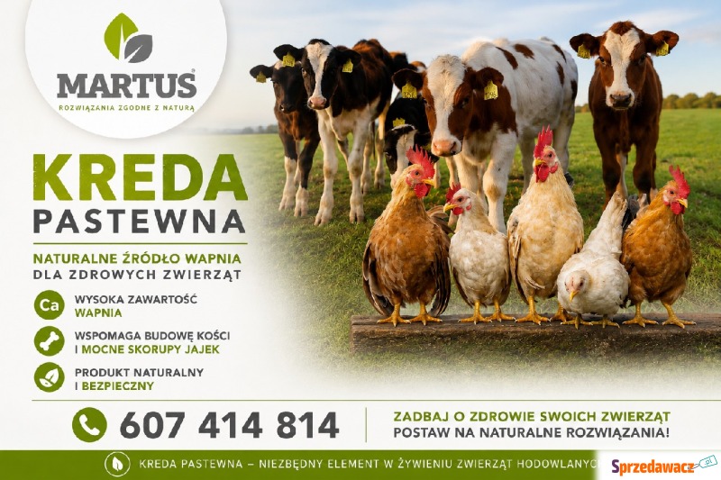 Kreda Pastewna luzem - Pasze, żywienie zwierząt - Janów Lubelski