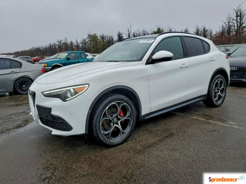 Alfa Romeo Stelvio  SUV 2019,  2.0 benzyna, automat - Na sprzedaż za 38 000 zł - Tarnów