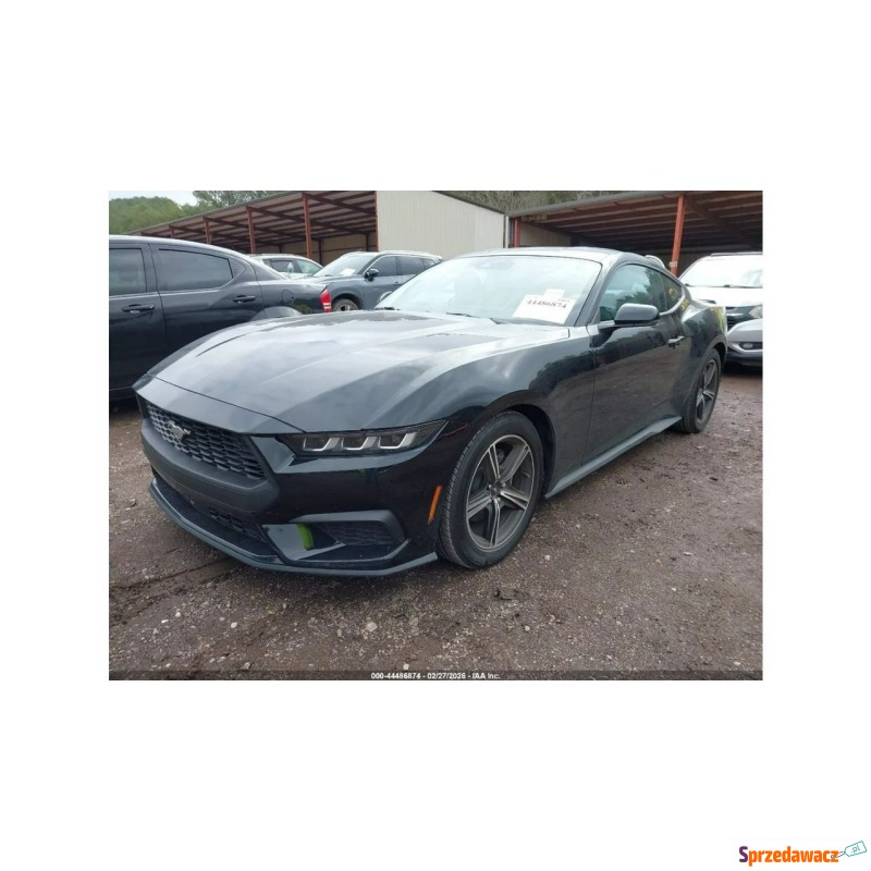 Ford Mustang  Coupe/Sportowy 2024,  2.3 benzyna, automat - Na sprzedaż za 69 000 zł - Tarnów