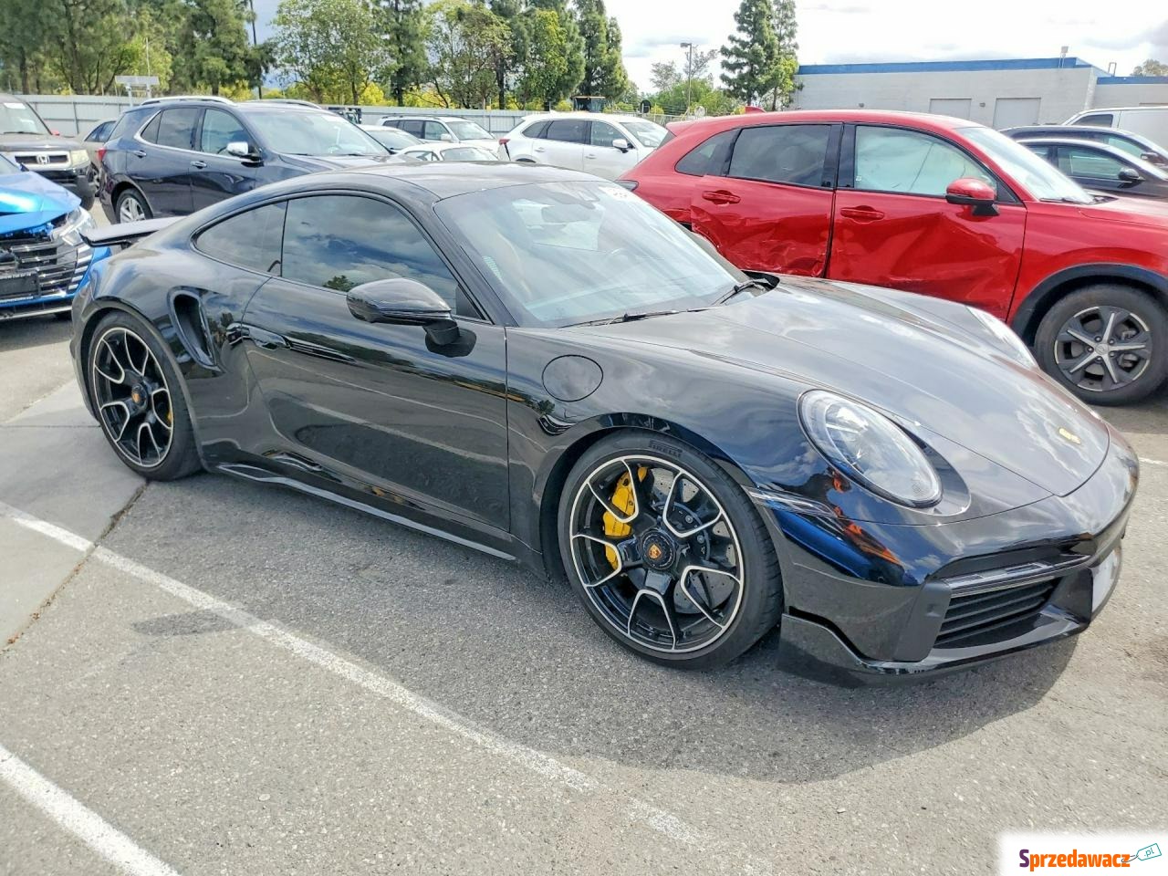 Porsche 911 2023