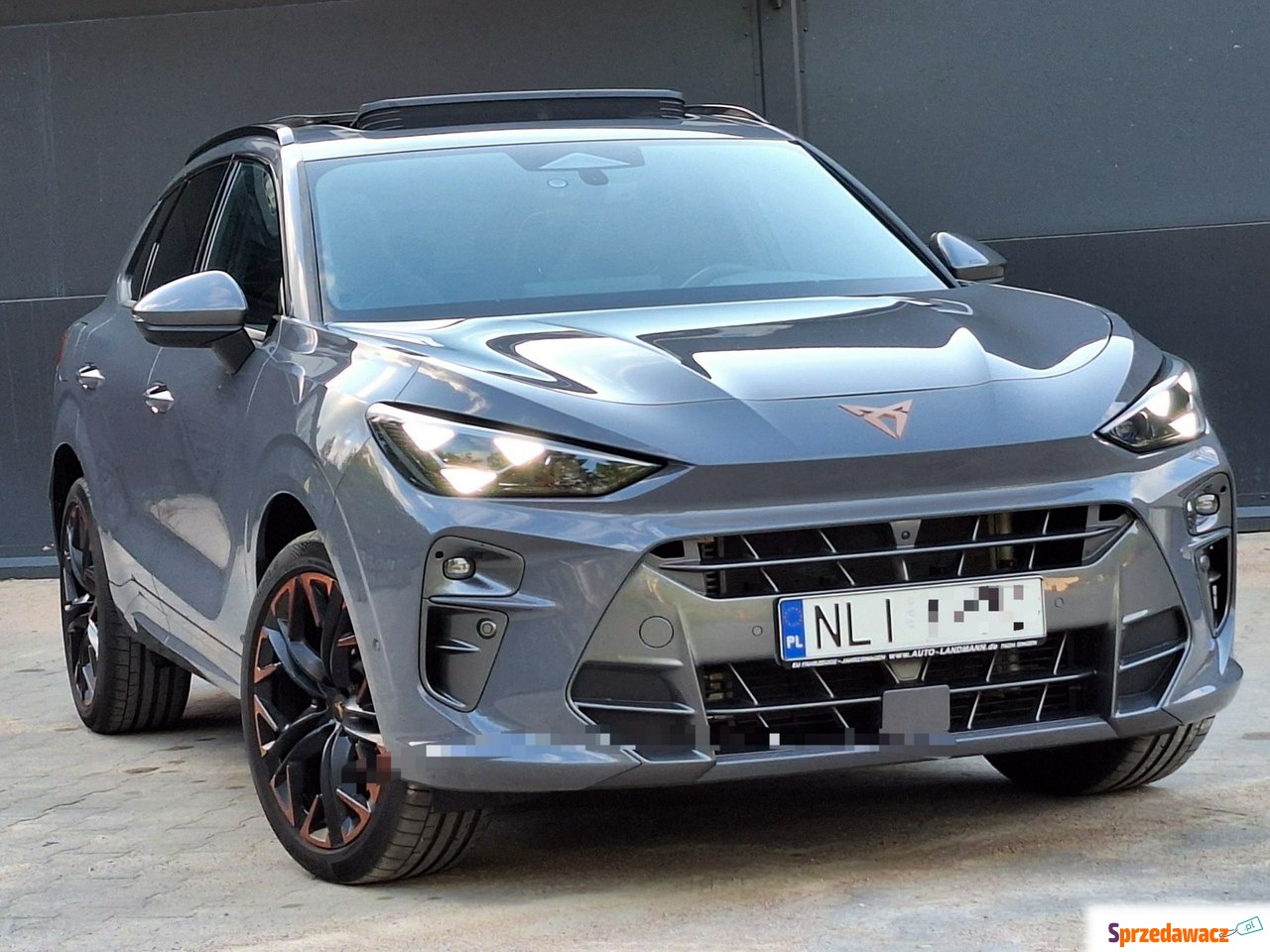 Cupra Terramar 2024