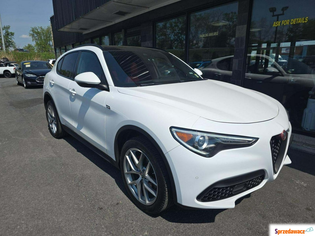 Alfa Romeo Stelvio 2019