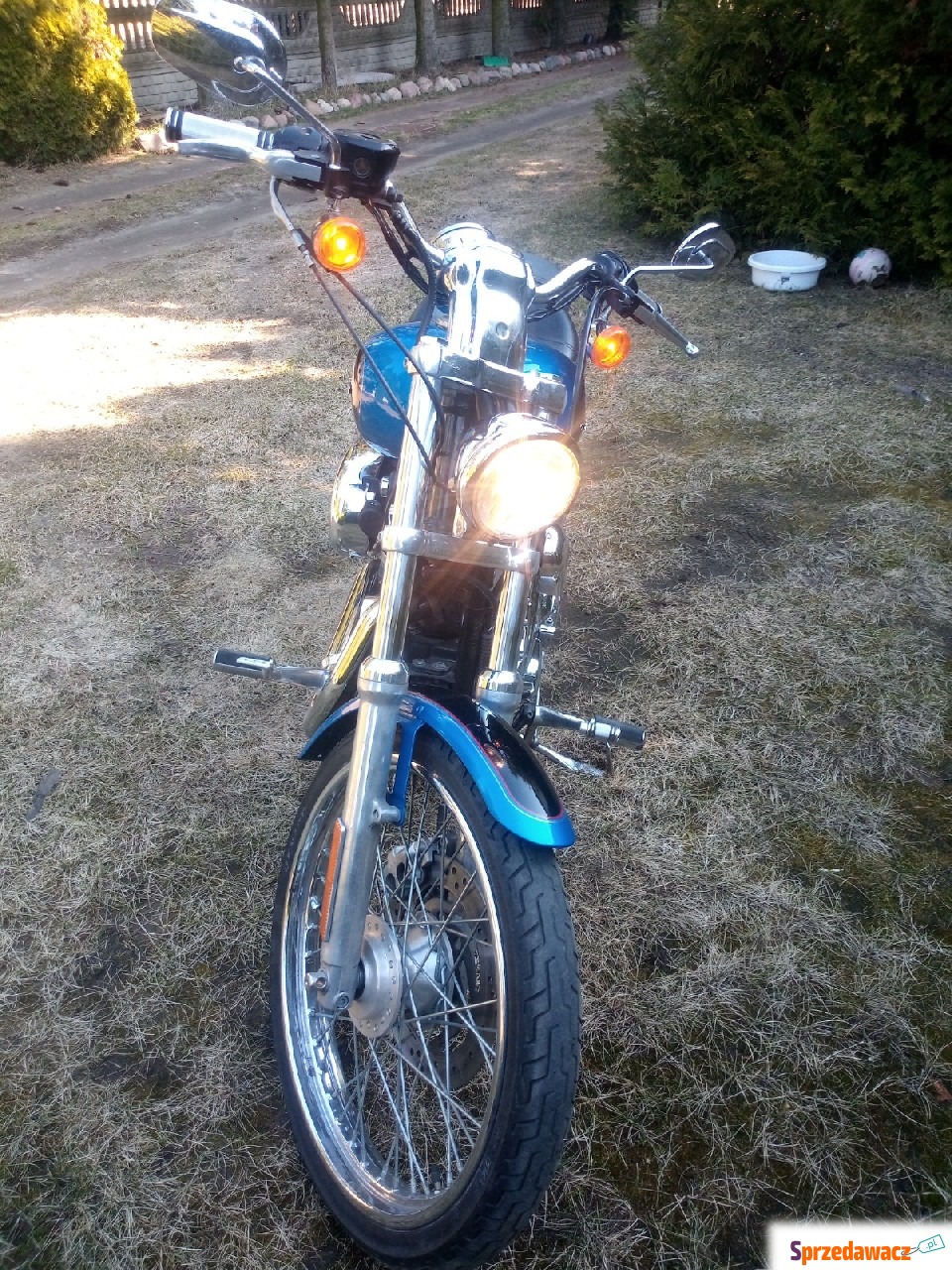 Harley Davidson XL 1200 sportster