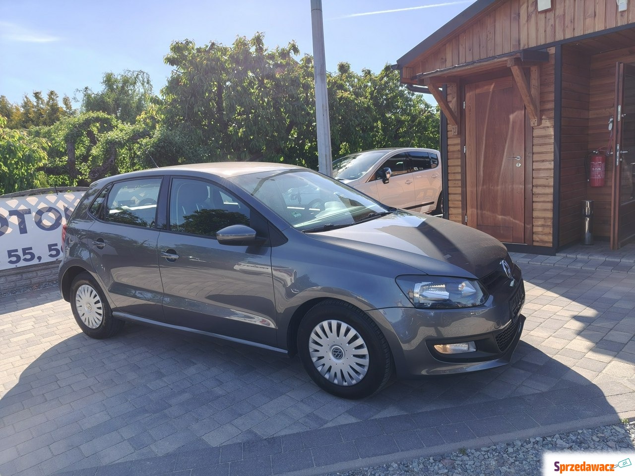 Volkswagen Polo 2010