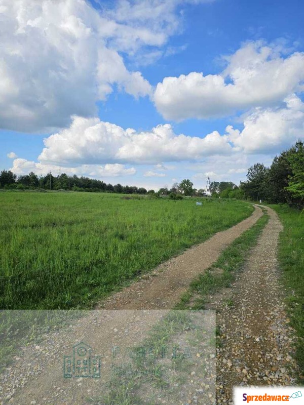 Działka budowlana 960 m² – Kosówka