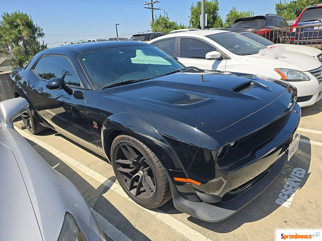 Dodge Challenger 2022