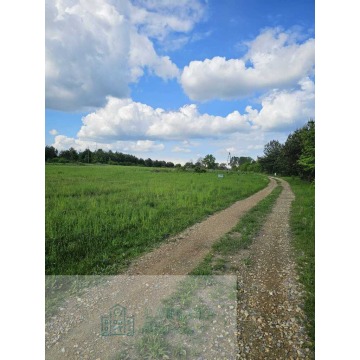 Działka budowlana Kosówka sprzedam, pow. 960 m2  (9.6a) - zdjęcie 5