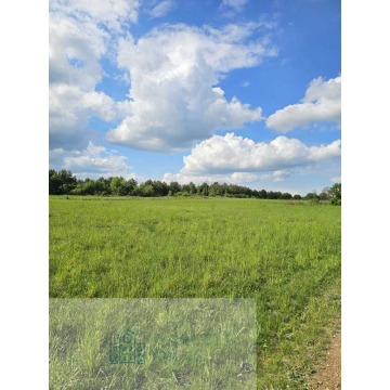 Działka budowlana Kosówka sprzedam, pow. 960 m2  (9.6a) - zdjęcie 2