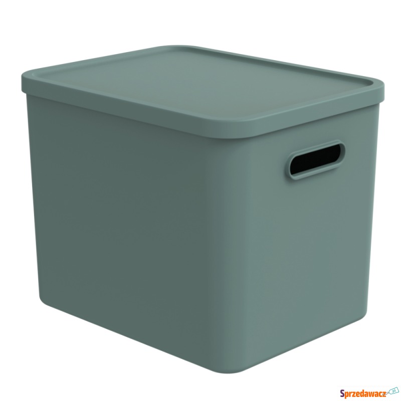 Rotho MyPet Multibox C4 Albula - 27 l - Zabawki dla psów - Biała Podlaska