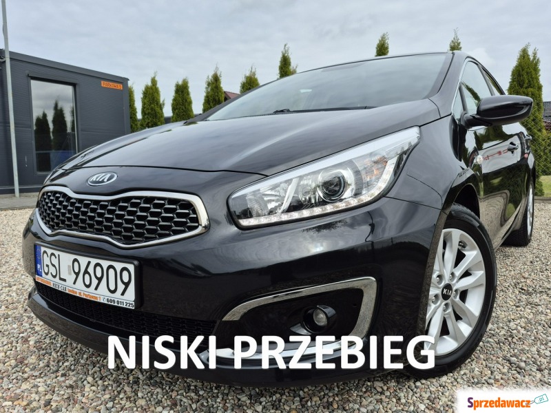 Kia Ceed  Hatchback 2017,  1.6 benzyna - Na sprzedaż za 42 900 zł - Łosino