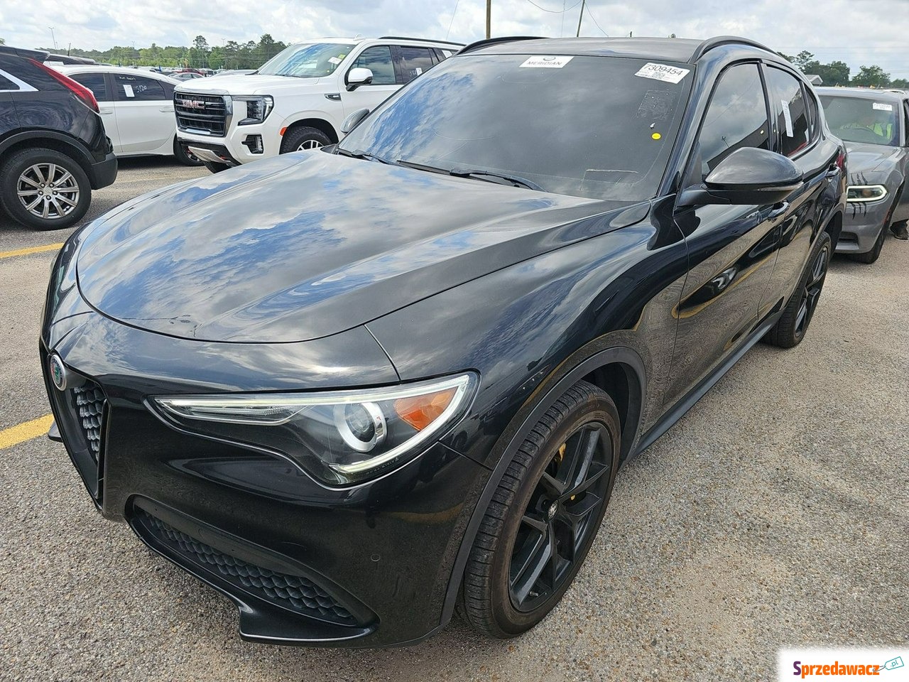 Alfa Romeo Stelvio 2019