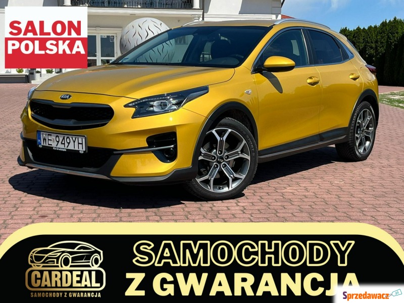 Kia XCeed  SUV 2019,  1.4 benzyna, automat - Na sprzedaż za 70 971 zł - Nowe Iganie