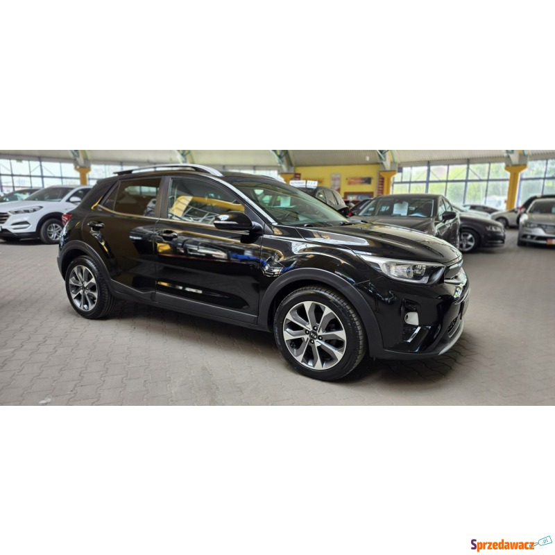 Kia Stonic  SUV 2017,  1.6 diesel - Na sprzedaż za 46 900 zł - Mysłowice