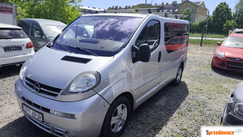 Opel Vivaro  Minivan/Van 2005,  2.5 diesel - Na sprzedaż za 17 900 zł - Szczecin