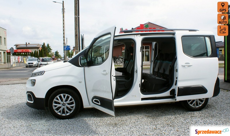 Citroen Berlingo  Minivan/Van 2019,  1.5 diesel - Na sprzedaż za 43 900 zł - Ostrów Wielkopolski