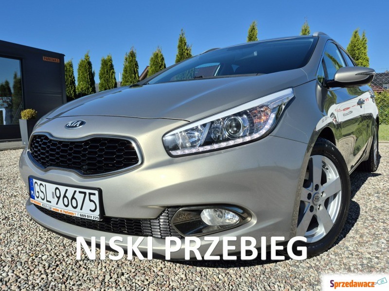 Kia Ceed 2014,  1.6 benzyna - Na sprzedaż za 34 900 zł - Łosino