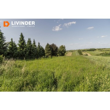 Działka budowlana Kraków sprzedam, pow. 3093 m2  (30.9a) - zdjęcie 3