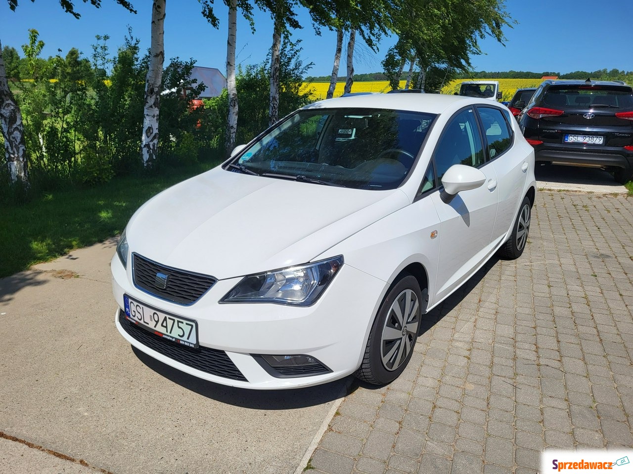 Seat Ibiza 2013