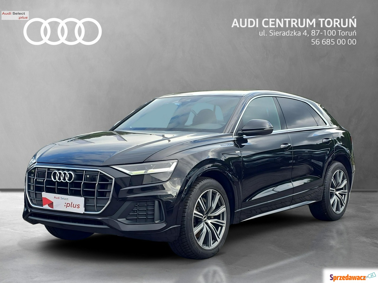 Audi Q8 2021