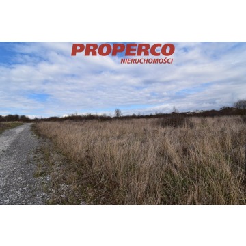 Działka Piekoszów sprzedam, pow. 1012 m2  (10.1a), uzbrojona - zdjęcie 2