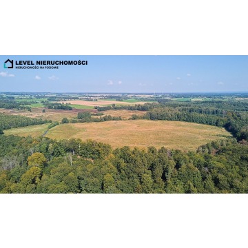 Teren pod wydobycie kopalin piaskowo – żwirowych - Działki na sprzedaż - Milejewo - zdjęcie 16