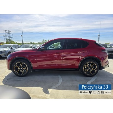 Alfa Romeo Stelvio  SUV 2025,  2.0 benzyna, automat - Na sprzedaż za 227 590 zł - Warszawa - zdjęcie 11