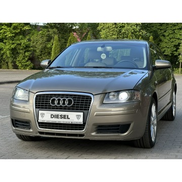 Audi A3 - Bezwypadkowy 2005r 2.0 TDI BKD 140KM Automat DSG Klimatronic Xenon