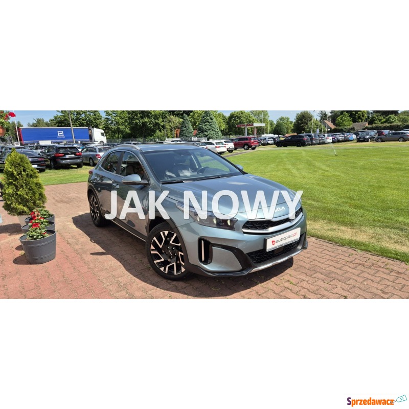 Kia XCeed  Hatchback 2023,  1.0 benzyna - Na sprzedaż za 73 800 zł - Paproć