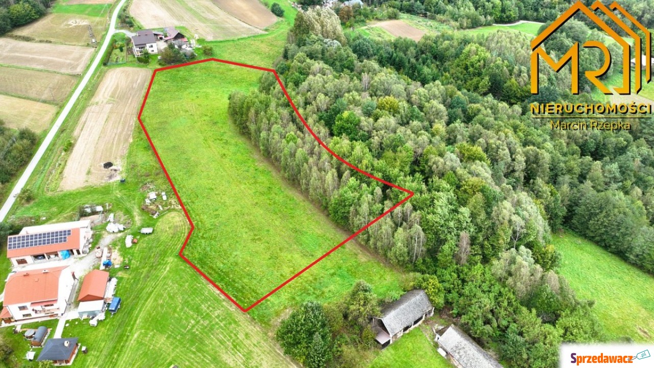 1 ha działki rolnej w gminie Szerzyny