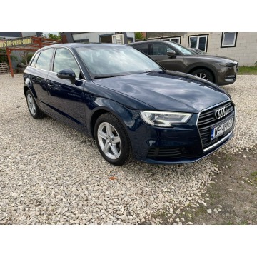 Audi A3  Hatchback 2017,  1.6 diesel, automat - Na sprzedaż za 52 999 zł - Kanie - zdjęcie 3