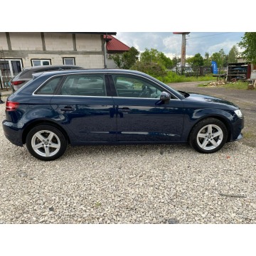 Audi A3  Hatchback 2017,  1.6 diesel, automat - Na sprzedaż za 52 999 zł - Kanie - zdjęcie 4