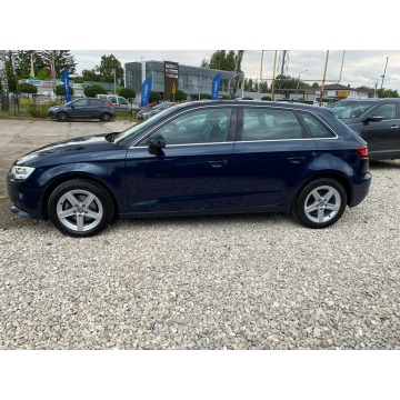 Audi A3  Hatchback 2017,  1.6 diesel, automat - Na sprzedaż za 52 999 zł - Kanie - zdjęcie 8