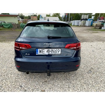 Audi A3  Hatchback 2017,  1.6 diesel, automat - Na sprzedaż za 52 999 zł - Kanie - zdjęcie 6