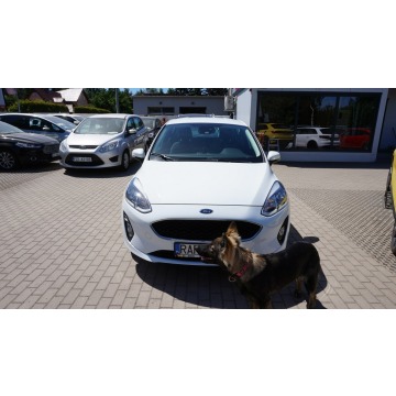 Ford Fiesta  Hatchback 2017,  1.1 benzyna - Na sprzedaż za 33 999 zł - Zielona Góra - zdjęcie 2