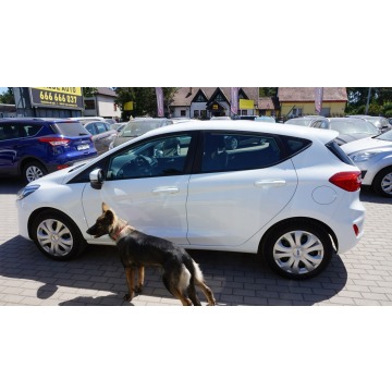 Ford Fiesta  Hatchback 2017,  1.1 benzyna - Na sprzedaż za 33 999 zł - Zielona Góra - zdjęcie 8