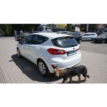Ford Fiesta  Hatchback 2017,  1.1 benzyna - Na sprzedaż za 33 999 zł - Zielona Góra - zdjęcie 7